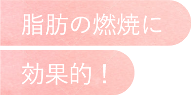 脂肪の燃焼に効果的!