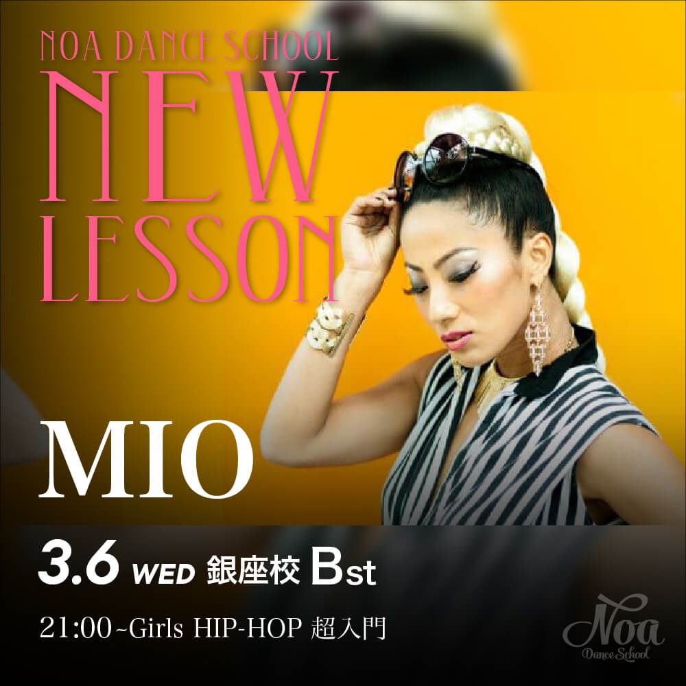nds_new_mio.jpg